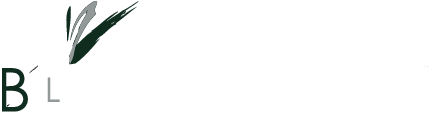 Badminton Coaching London